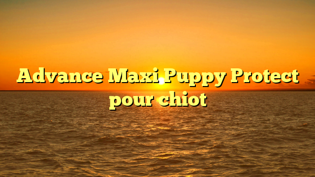 Advance Maxi Puppy Protect pour chiot