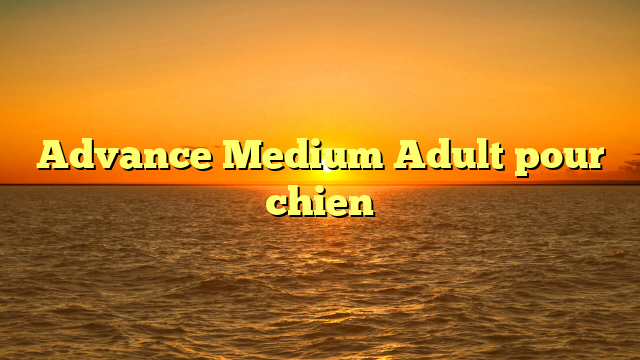 Advance Medium Adult pour chien