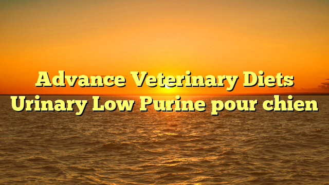 Advance Veterinary Diets Urinary Low Purine pour chien