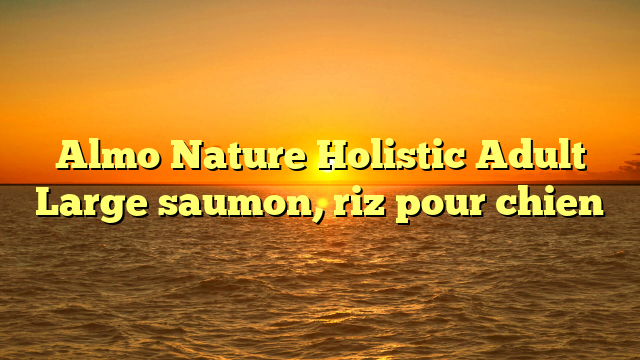 Almo Nature Holistic Adult Large saumon, riz pour chien