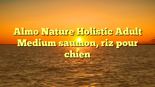 Almo Nature Holistic Adult Medium saumon, riz pour chien