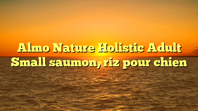 Almo Nature Holistic Adult Small saumon, riz pour chien