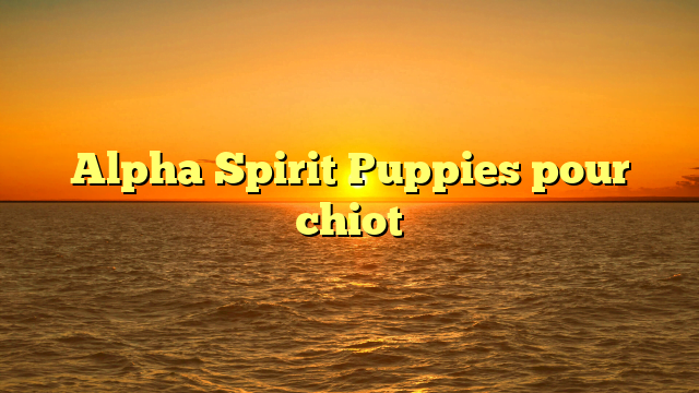 Alpha Spirit Puppies pour chiot