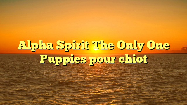 Alpha Spirit The Only One Puppies pour chiot